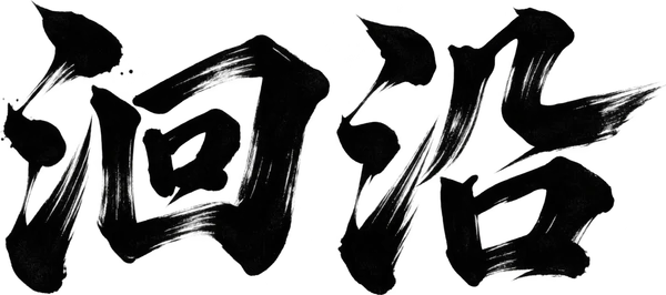 洄沿